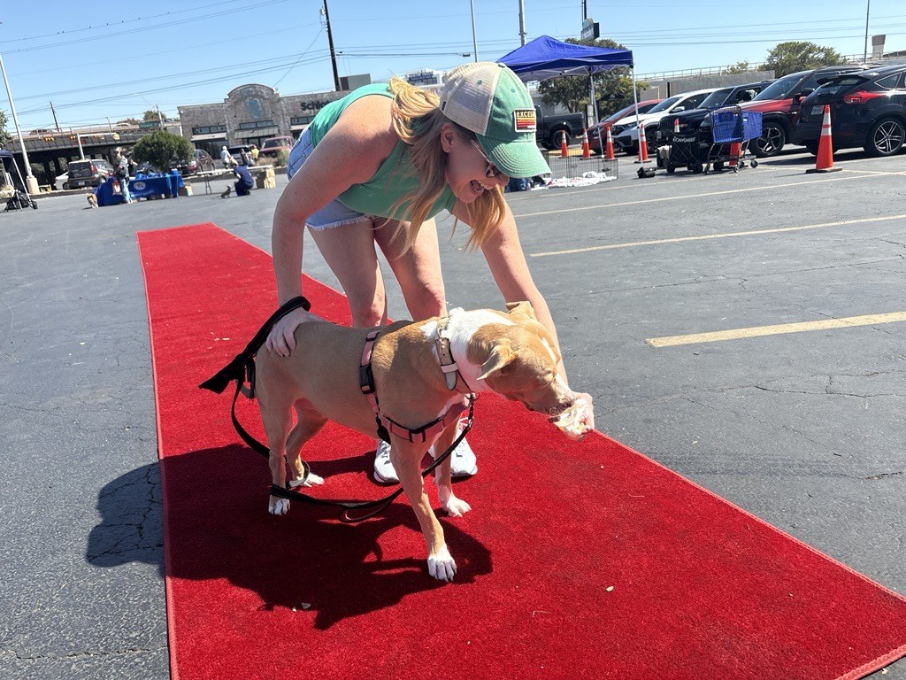 Photo of woman and her dog who is eating a pup cup